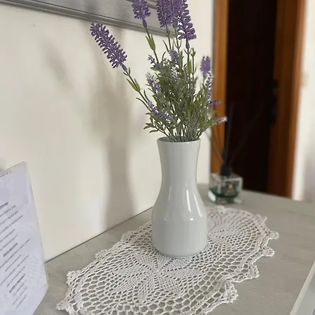 La Casa Di Chicca